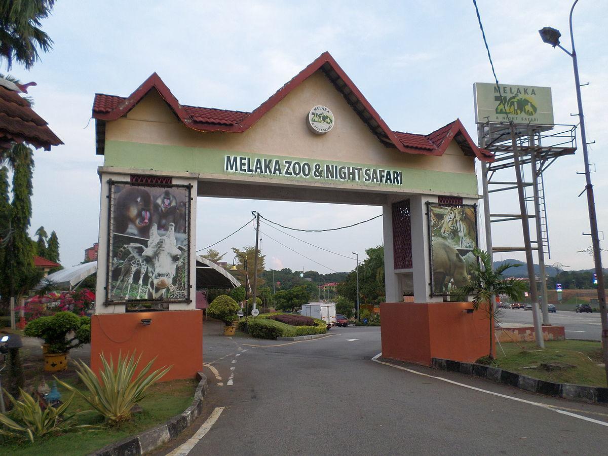 Orkid Hotel Melaka Exteriér fotografie